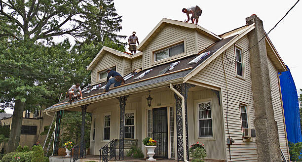 Best Roof Gutter Cleaning  in Seaville, NJ
